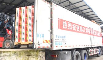 都江堰猕猴桃协会牵手物流快递行业的 国家队